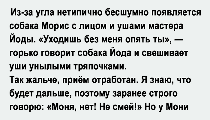 Ты опять уходишь на работу скажи честно у тебя там другой кот картинка