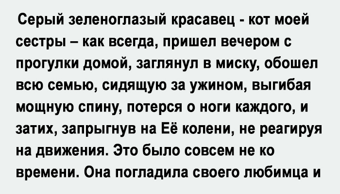 На галерейку вышел кот потерся о ноги кузьмина промурлыкал и ушел обратно в ночные комнаты